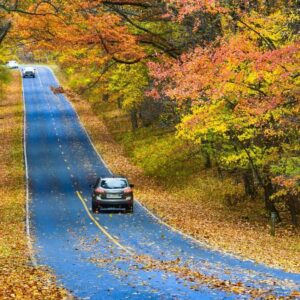 【秋のドライブにおすすめ！】お出かけにぴったりな軽自動車3選